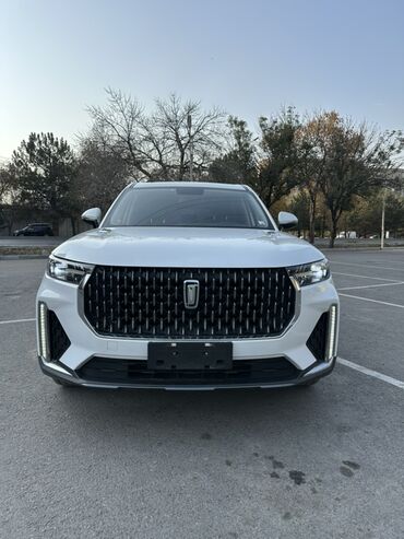 FAW: FAW : 2020 г., 2 л, Автомат, Бензин, Кроссовер — 2