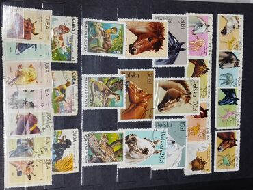 Марки: Альбом с марками. Реальному покупателю будет уступка — 12