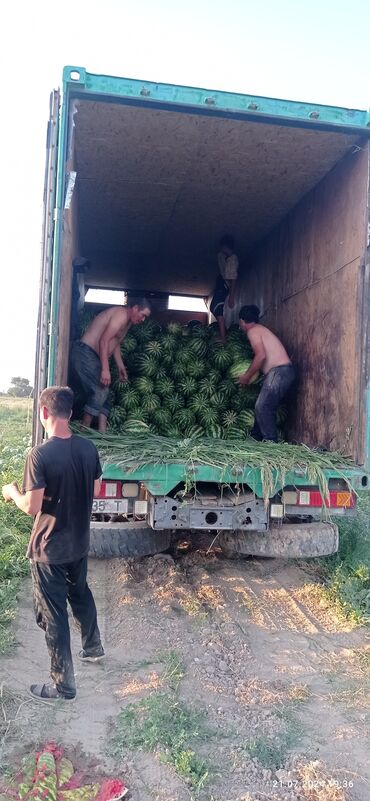 краска по металлу цена бишкек: Продается арбузы готовое на россию цена договорное +