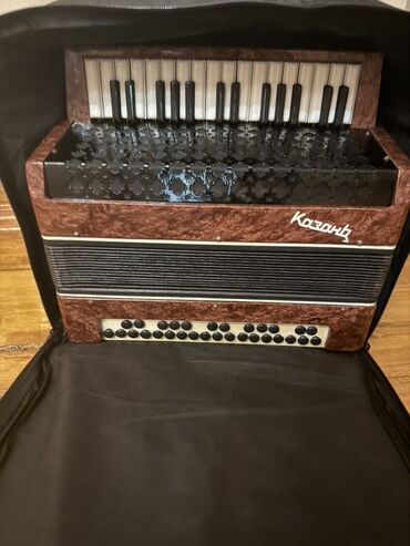 Akkordeonlar: Akustik Akkordeon, Yeni — 10