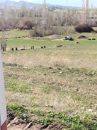 Torpaq sahələrinin satışı: Tikinti — 3