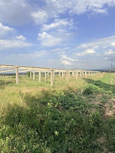 хранение: 30 соток, Для сельского хозяйства, Красная книга — 1