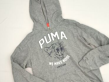 Sweatshirt, Puma, 14 years, 158-164 cm, condition - Good