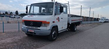 продается мерс: Mercedes-Benz Vario: 2006 г., 4.3 л, Механика, Дизель, Универсал