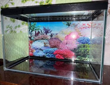 Akvariumlar: Dördbucaq akvarium, Boş, 70 l, Ödənişli çatdırılma — 12
