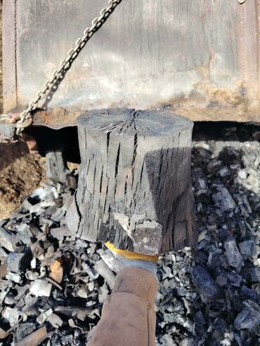 Ugalj i drvo za ogrev: Leskovački ćumur u većim količinama; Bez dobrog ćumura – nema dobrog — 9