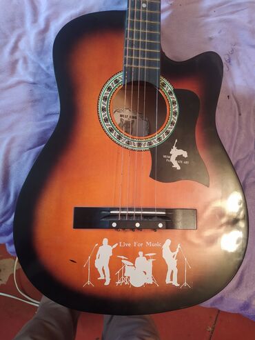 Akustik gitaralar: Akustik gitara, 6 sim