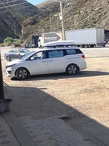 kia ceed: Kia Carnival: 2019 г., 2.2 л, Автомат, Дизель, Минивэн — 1