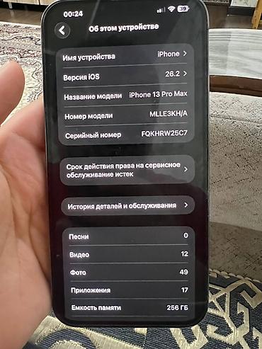 Apple iPhone: IPhone 13 Pro Max, Б/у, 256 ГБ, Sierra Blue, Защитное стекло, Чехол, 86 % — 8