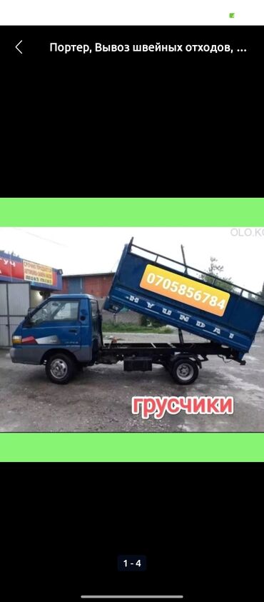 Другие животные: Портер такси портер такси портер такси Портер такси портер такси