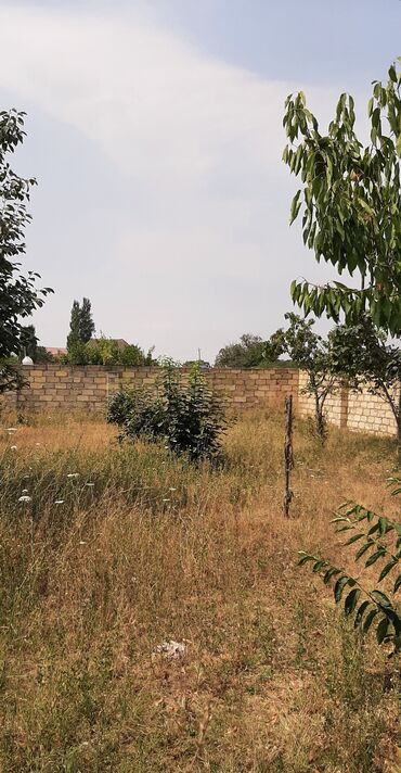 Torpaq sahələrinin satışı: Şəhərin kənarında, təbiətin qoynunda yerləşən bu torpaq sahəsi sakit — 3