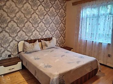 дача с бассейном аренда: 42 м², 2 комнаты, С бассейном, Коммунальные линии не подключены — 4