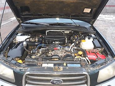 Subaru: Subaru Forester: 2005 г., 2 л, Автомат, Газ, Универсал — 14