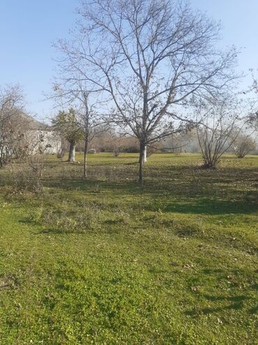 Torpaq sahələrinin satışı: 30 sot, Tikinti, Kupça (Çıxarış) — 7