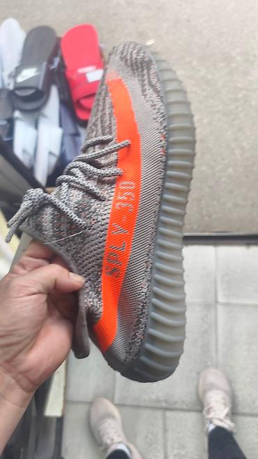 tamnoplava: Adidas yeezy boost Beluga patike NOVO Novo Brojevi 36 do 46 fb Moja — 1