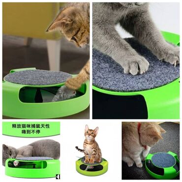 Другие животные: Устали от шерсти дома.Новые автоматизированные пуходерки(паровые — 5