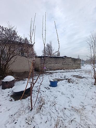 Продажа коттеджей и домов: 📌В селе Беловодское продается дом из 5-ти комнат на участке 8 соток — 13