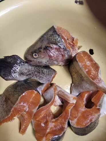 Рыбы: Продается Иссык-Кульская фарель + + С чистым фасфором полезные