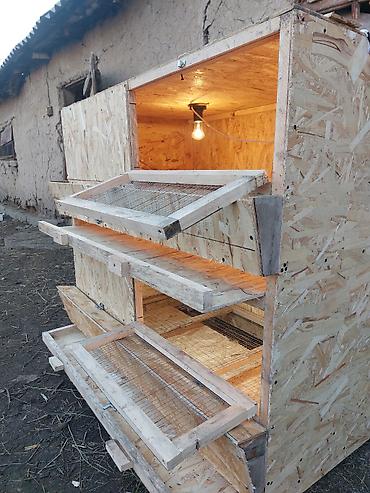 Ящики: Деревянный Ящик — 8