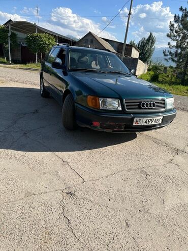 Audi: Audi : 1993 г., 2.6 л, Механика, Бензин, Универсал