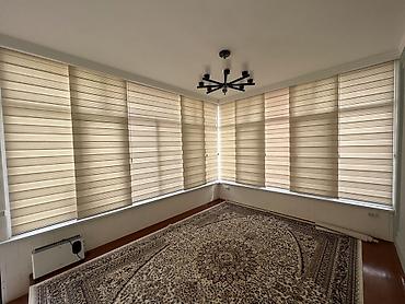 Жалюзи и рольшторы: Рулонные шторы «День‑Ночь» (зебра) - Тип: комбинированные рулонные — 13