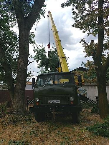 кантенир 20 тоник: Стрела 14 м, 14 т — 3
