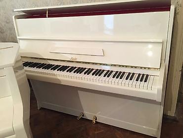 Musiqi alətləri: Pianino RÖSLER CEXİYA STEHSALI. Əla vəziyyədədi, köklənib — 5