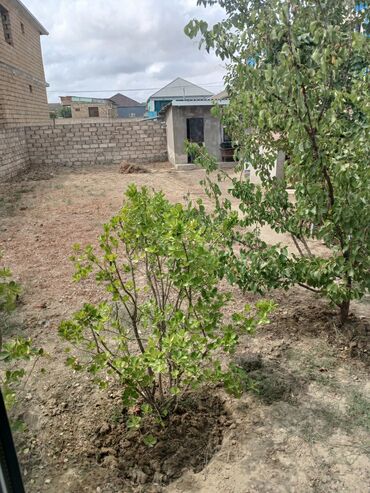 Həyət evləri və villaların satışı: Məmmədli 3 otaqlı, 60 kv. m, Kredit yoxdur, Orta təmir