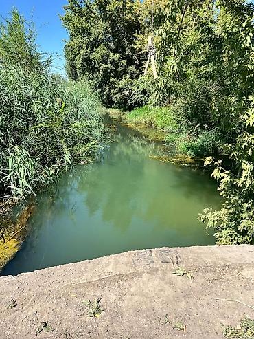 Продажа участков: 250 соток, Красная книга — 7