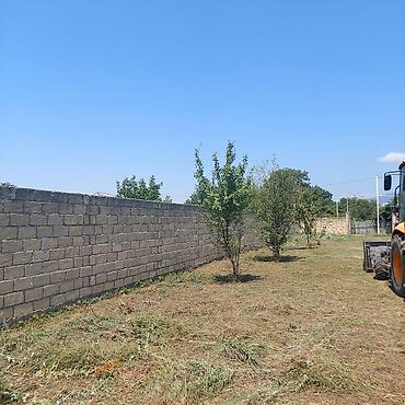 sirvan satiram: Oğuz rayonunun Şirvanlı kəndində rayon mərkəzindən 10 km,Xalxal — 6