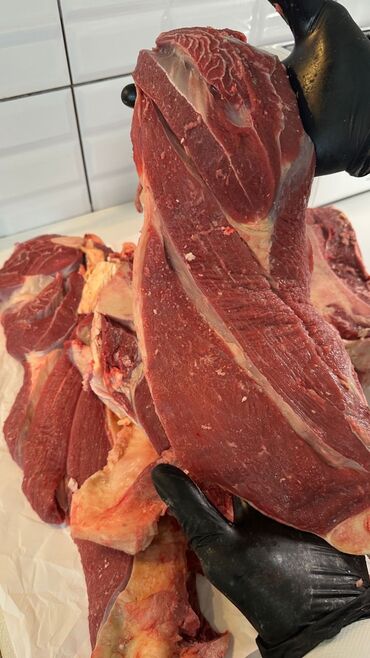 цены на мясо в бишкеке 2023: Говядина : Ножки, 5 кг, 10 кг, Более 10 кг, Бесплатная доставка