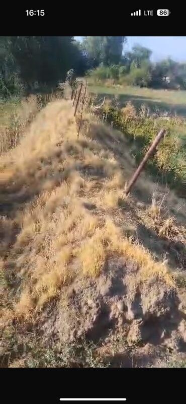 уголь каракече бешсары шабыркуль каражыра доставка бишкек купить фото: Кара-балта Продаю чернозём, цена: КАМАЗ 2000с, самовывоз, 1тонна