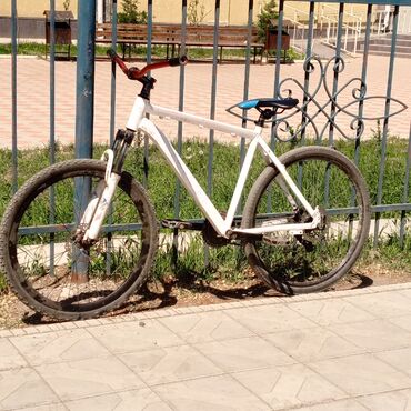 шоссейный велосипед pinarello: Шоссе велосипеди, Велосипед алкагы L (172 - 185 см), Колдонулган