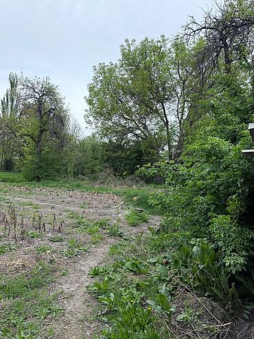 Продажа коттеджей и домов: Продаю дом Село Петровка На участке имеется Баня, Сараи для скота и at lalafo.kg — 5 Продажа коттеджей и домов: Продаю дом Село Петровка На участке имеется Баня, Сараи для скота и — 5