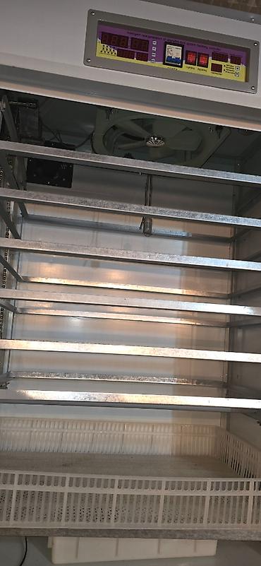 İnkubatorlar: 1100 yumurta, Çin, Fabrik istehsalı, Azərbaycan dilində təlimat, Tam avtomat — 7