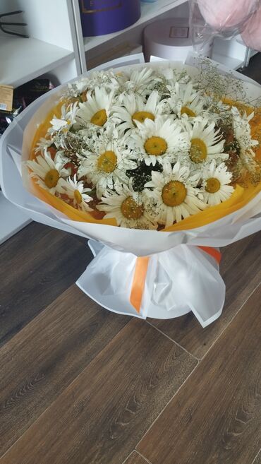 гортензия домашняя: Ах,лето,лето!!!Прекрасная пора сезонных цветов🌸Открыт