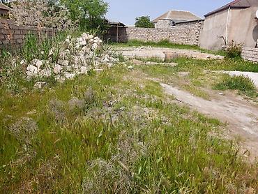 Torpaq sahələrinin satışı: 3 sot, Bələdiyyə -da lalafo.az — 3 Torpaq sahələrinin satışı: 3 sot, Bələdiyyə — 3
