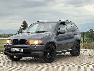 devo matiz: BMW X5: 2003 г., 4.4 л, Автомат, Бензин, Кроссовер — 1