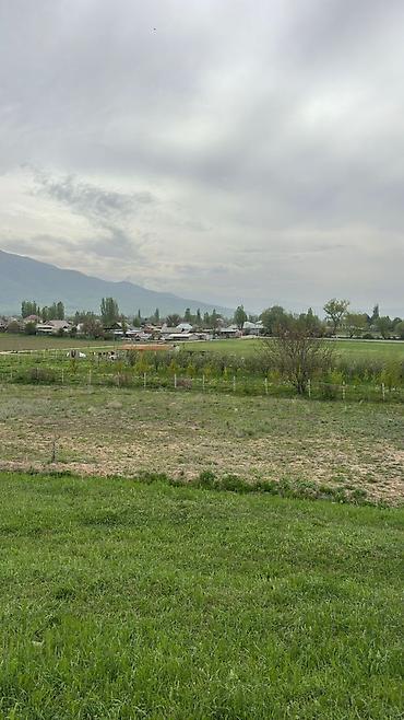 Продажа участков: 78 соток, Для сельского хозяйства — 3