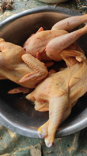 can eti: Kənd toyuğu Toyuq Bütöv, Pərakəndə, Ödənişli çatdırılma — 1