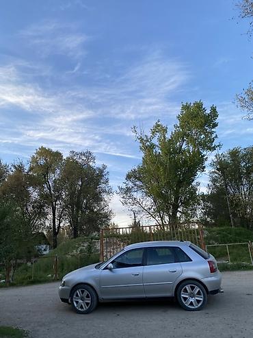 Audi: Audi A3: 2003 г., 1.8 л, Автомат, Бензин, Хэтчбэк — 11