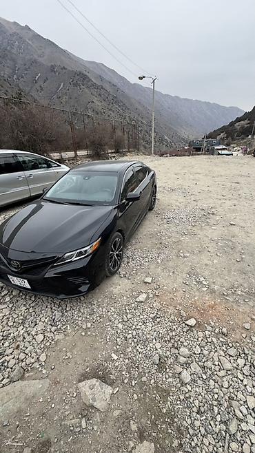 corolla s: Toyota Camry: 2018 г., 2.5 л, Автомат, Бензин, Седан — 5