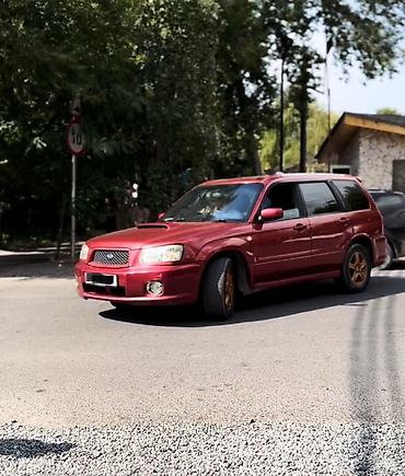 4 108: Subaru Forester: 2003 г., Автомат, Бензин, Универсал — 1