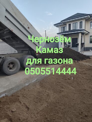 купить клубнику оптом: В тоннах, Бесплатная доставка, Зил, Камаз