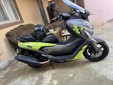 scoter 150: - ST Tiger 150, 150 sm3, 2024 il, 12424 km — 4