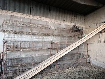 продаю кукуруз: Продаю сетки для курей отдам за 9500 - Модульные секции из — 6