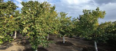 Продажа участков: 10 соток — 17