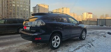 Lexus: Lexus RX: 2004 г., 3 л, Автомат, Газ, Внедорожник