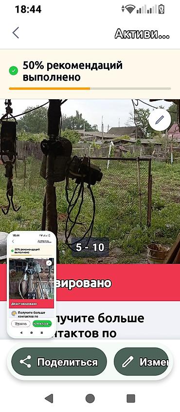 ит мышык: Продаю машинка для стрижки овец СССР трёхфазная прошу 25т.сом. в — 1