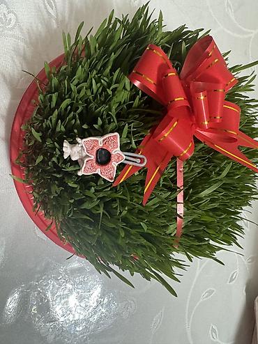 kinder oyuncaqları: Stranger things kinder kolleksiyası . Satıram qiymət 4-35 azn aralığı — 5